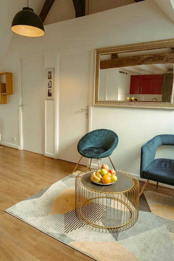 Saint Andre Des Arts City Apartment Paris Fransa