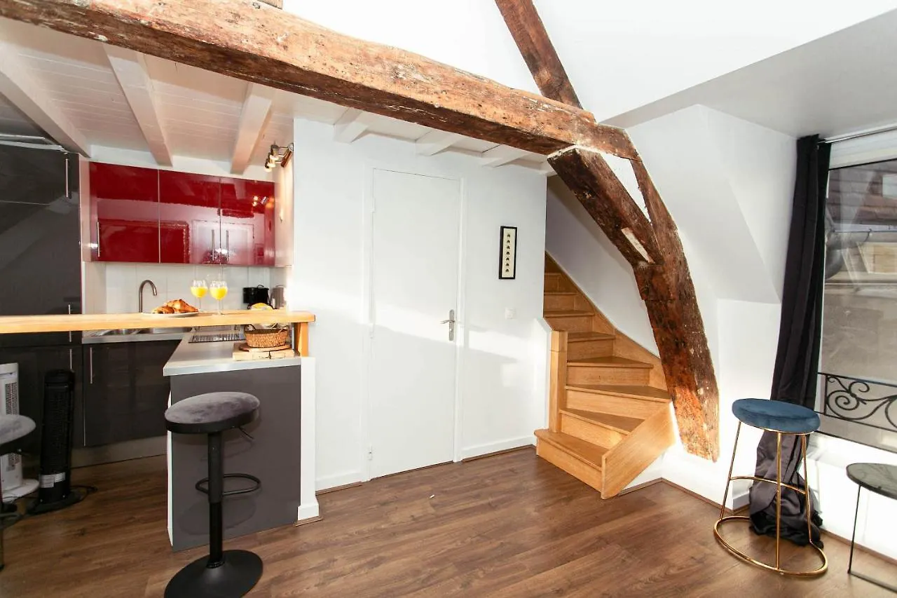 Saint Andre Des Arts City Apartment Paris